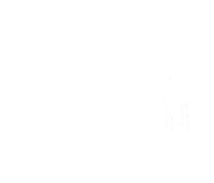 Fat Chance Media logo
